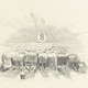 Image for article titled How to access a million stunning, copyright-free antique illustrations released by the British Library